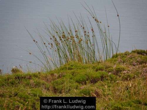 Slieve League